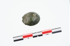 Foto von Bronzeknopf (NHMW-PRAE-025638)